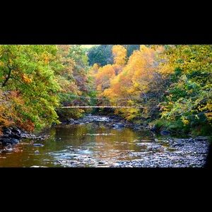 Meet your Posher, Eli